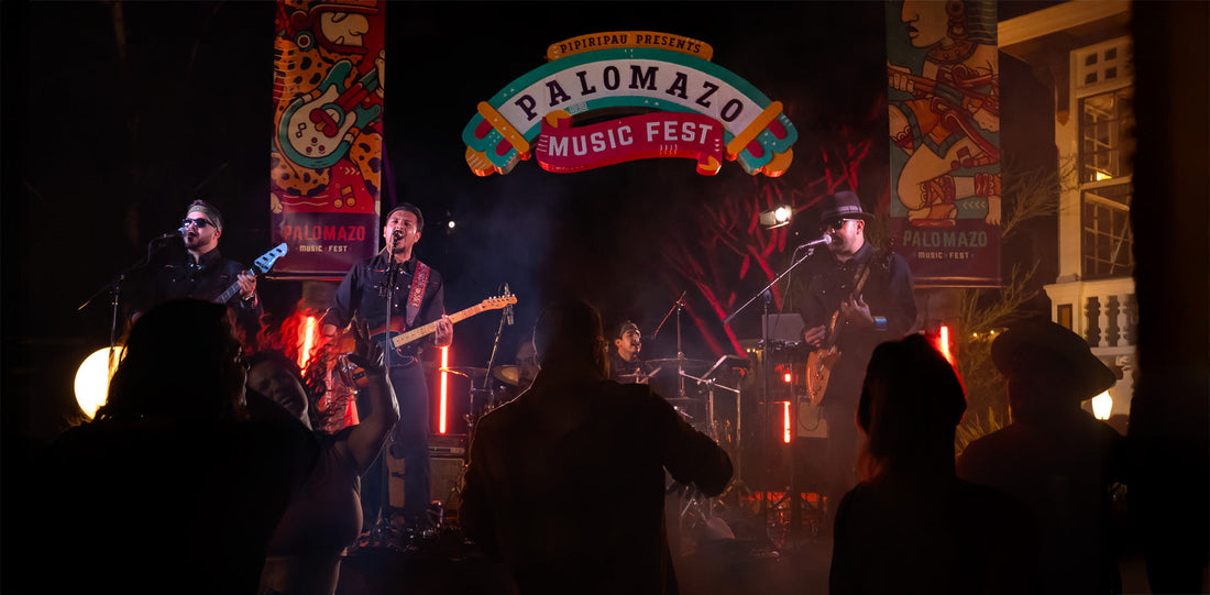 Palomazo Music Fest - Resistance Through Music